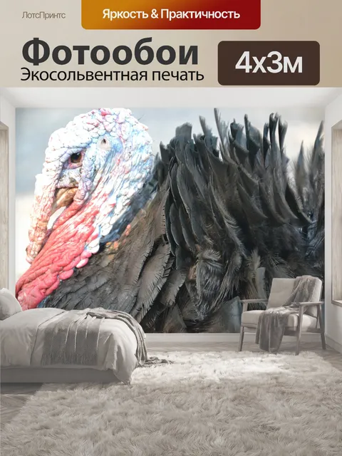 400 × 300 см · Экосольвентная печать