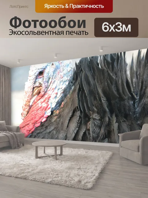 600 × 300 см · Экосольвентная печать