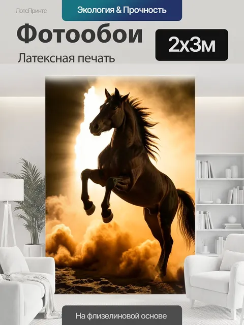 200 × 300 см · Латексная печать