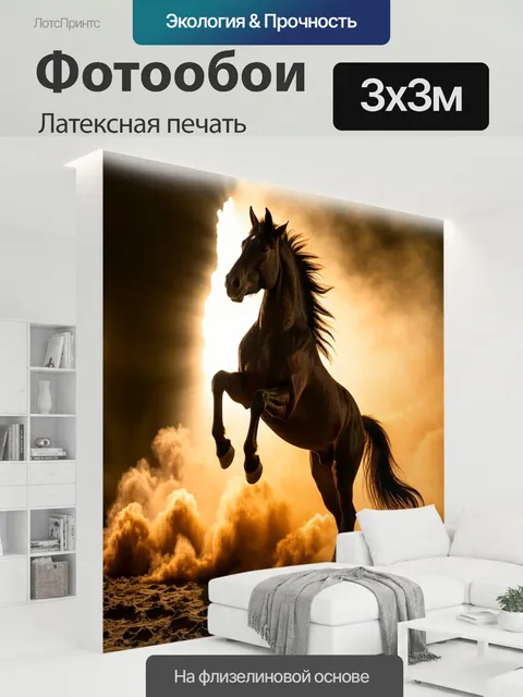 300 × 300 см · Латексная печать