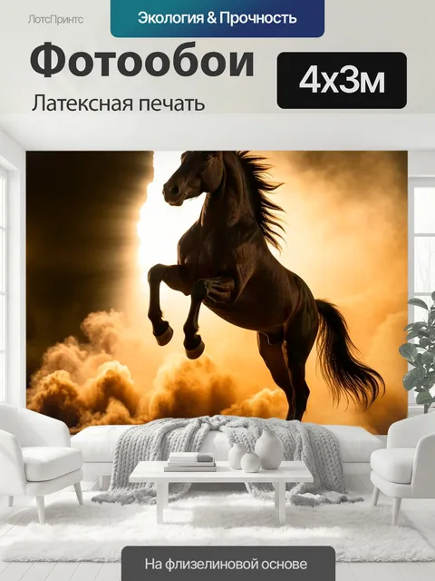 400 × 300 см · Латексная печать