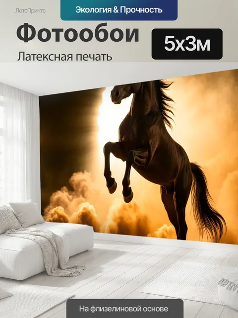 500 × 300 см · Латексная печать