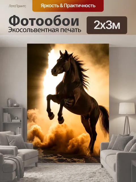 200 × 300 см · Экосольвентная печать
