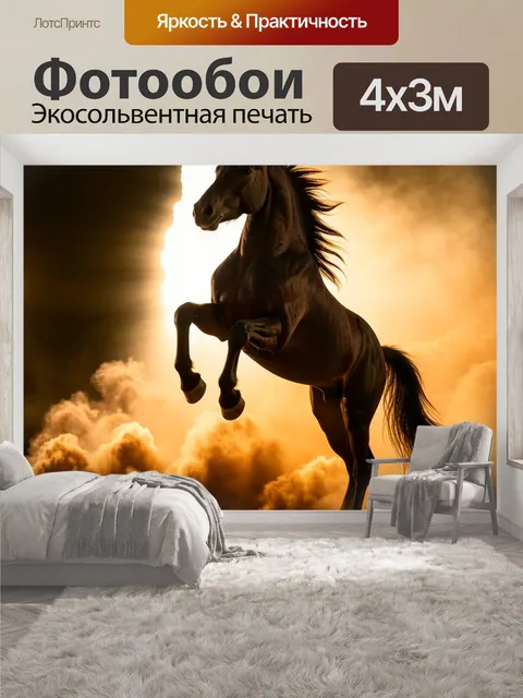 400 × 300 см · Экосольвентная печать