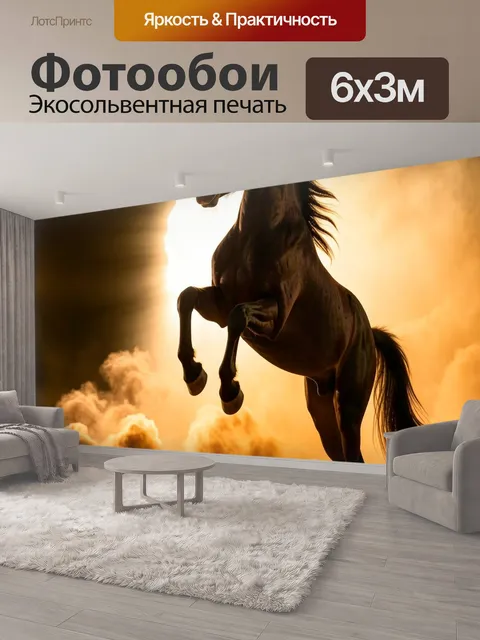 600 × 300 см · Экосольвентная печать