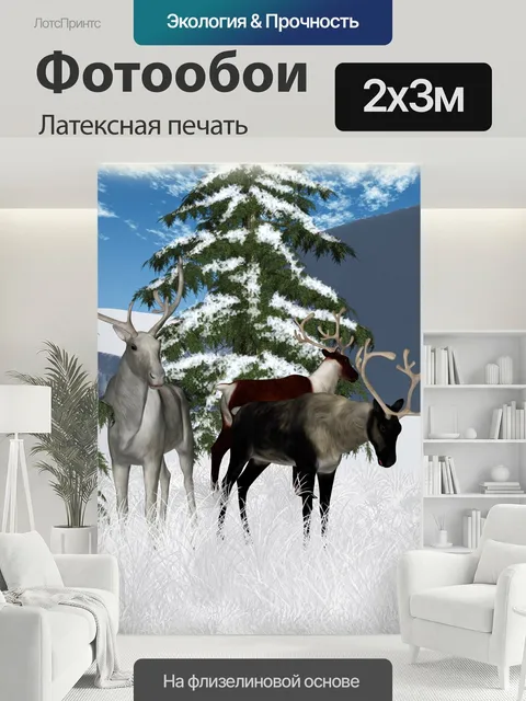 200 × 300 см · Латексная печать