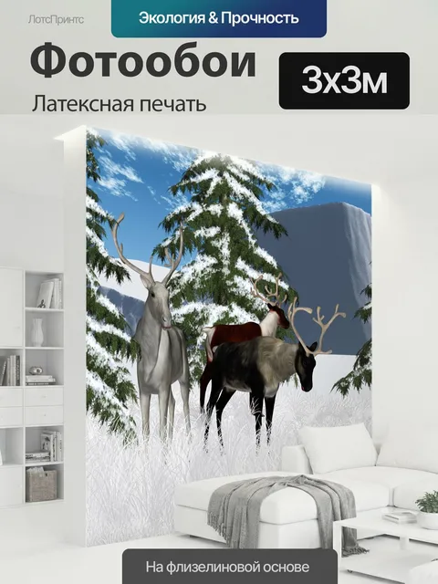 300 × 300 см · Латексная печать