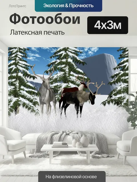400 × 300 см · Латексная печать
