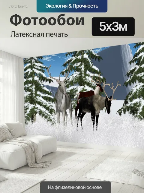 500 × 300 см · Латексная печать