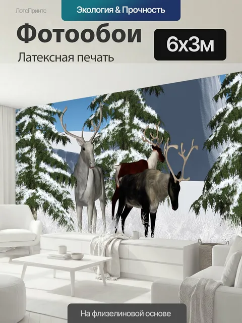 600 × 300 см · Латексная печать