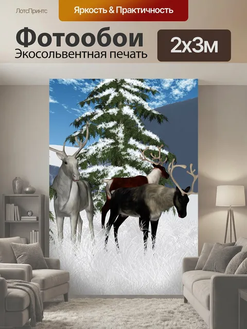 200 × 300 см · Экосольвентная печать