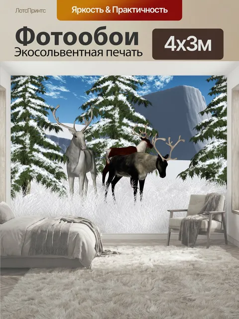 400 × 300 см · Экосольвентная печать