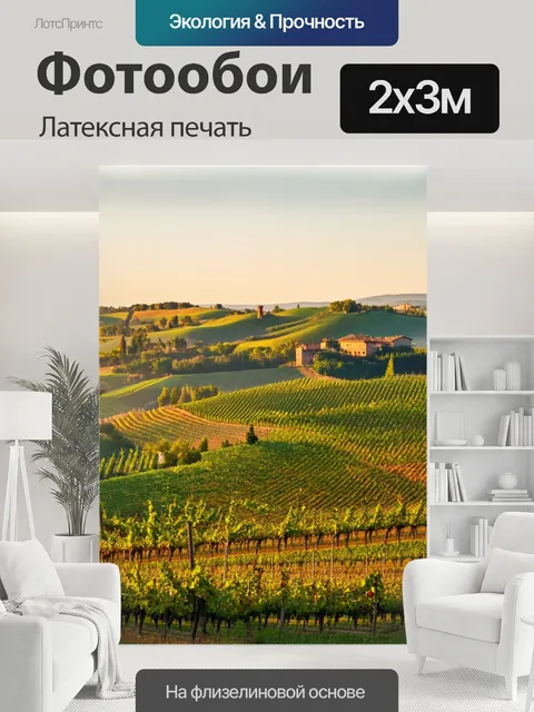 200 × 300 см · Латексная печать