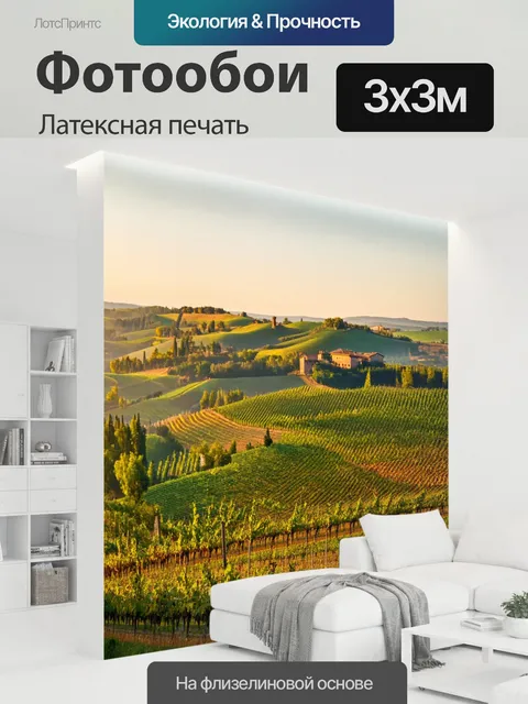 300 × 300 см · Латексная печать