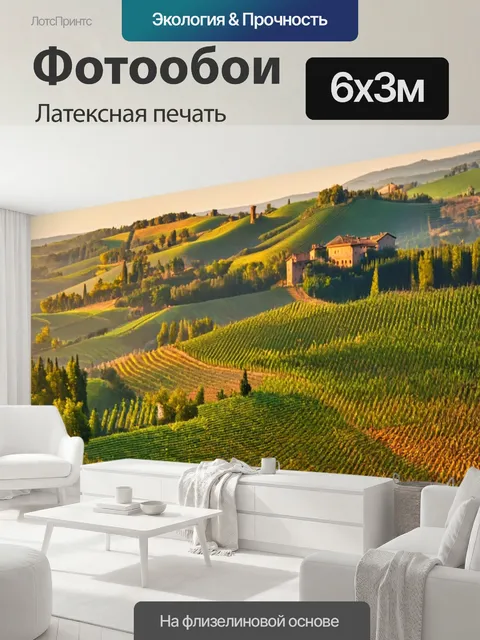 600 × 300 см · Латексная печать