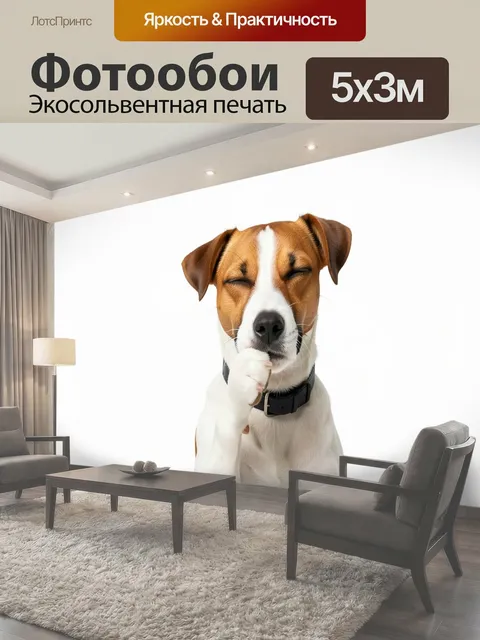 Фотообои Джек-рассел в задумчивой позе
