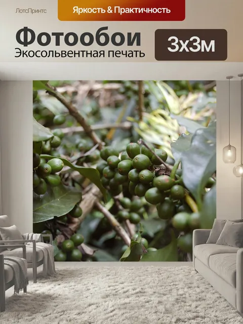 Фотообои Кофе, плантация, зеленый кофе