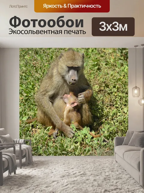 Фотообои Африка, лес, дикая природа