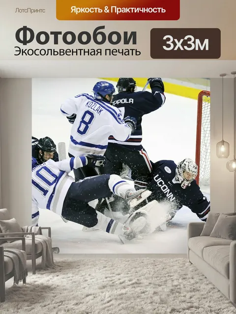 Фотообои Хоккей, виды спорта, игроки