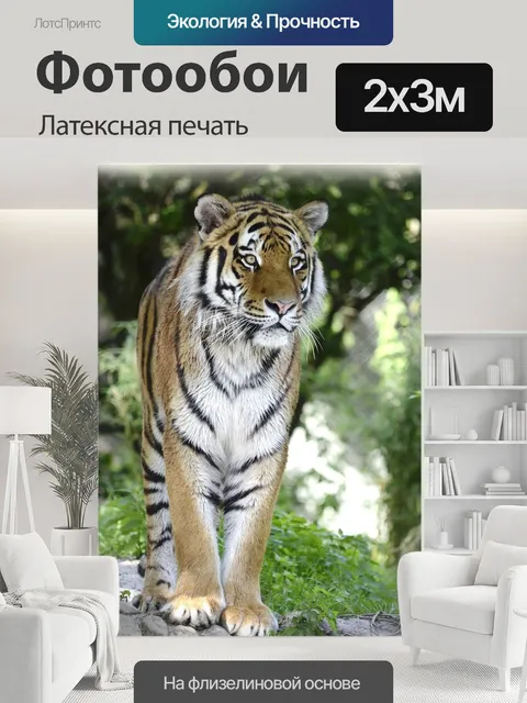 200 × 300 см · Латексная печать