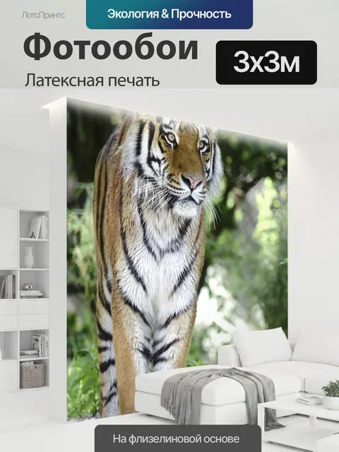 300 × 300 см · Латексная печать