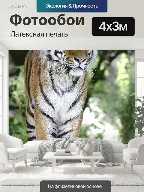 400 × 300 см · Латексная печать