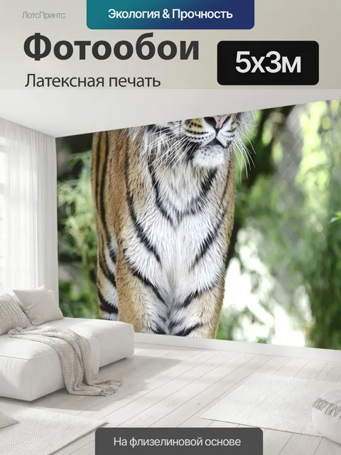 500 × 300 см · Латексная печать