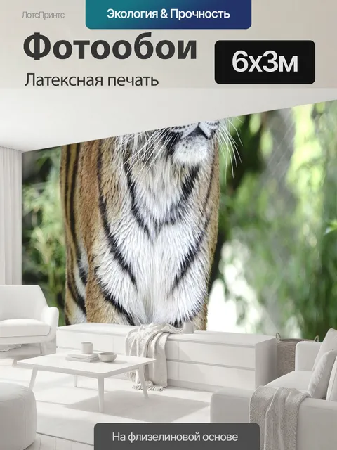 600 × 300 см · Латексная печать