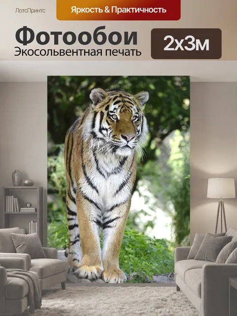 200 × 300 см · Экосольвентная печать