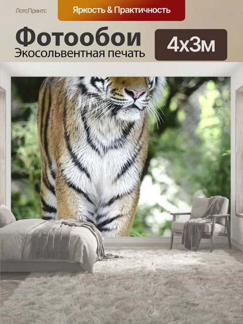 400 × 300 см · Экосольвентная печать