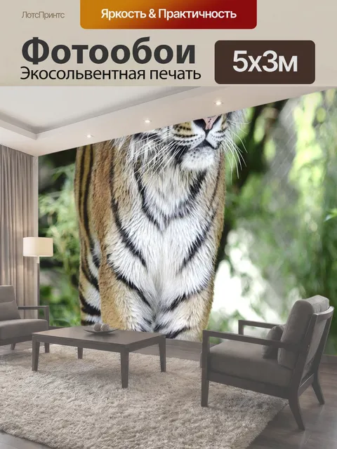 500 × 300 см · Экосольвентная печать