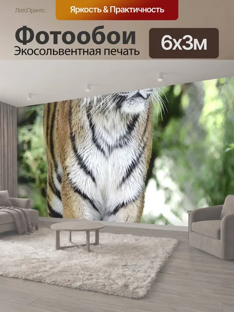 600 × 300 см · Экосольвентная печать
