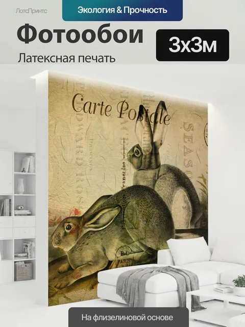 300 × 300 см · Латексная печать