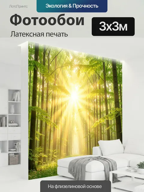 300 × 300 см · Латексная печать