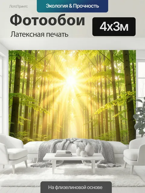 400 × 300 см · Латексная печать