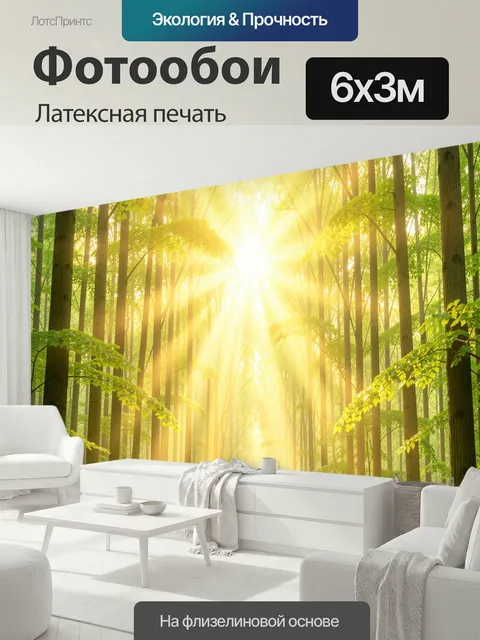 600 × 300 см · Латексная печать
