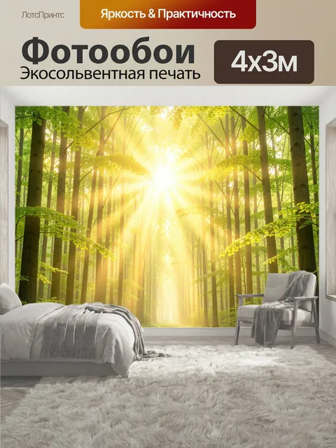 400 × 300 см · Экосольвентная печать