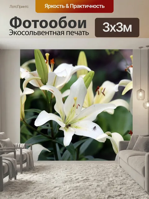 Фотообои Лилии, белые лилии, цветы