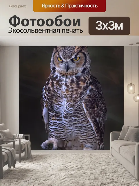 Фотообои Большая рогатая сова, сова, птица