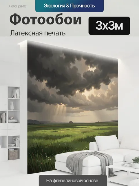 300 × 300 см · Латексная печать