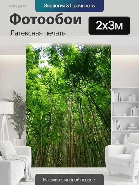 200 × 300 см · Латексная печать