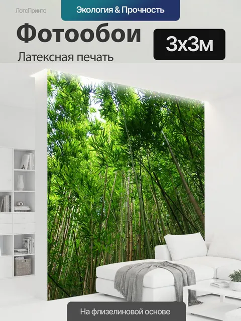 300 × 300 см · Латексная печать