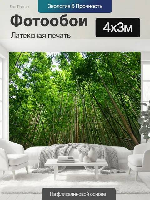 400 × 300 см · Латексная печать