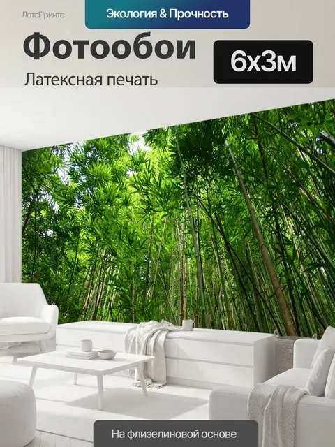 600 × 300 см · Латексная печать