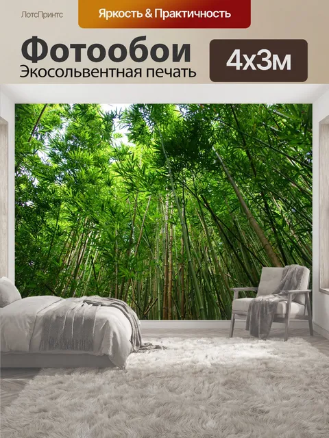 400 × 300 см · Экосольвентная печать