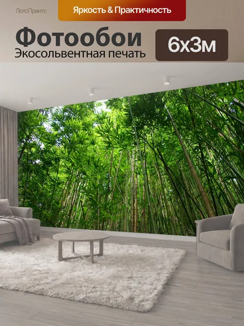 600 × 300 см · Экосольвентная печать