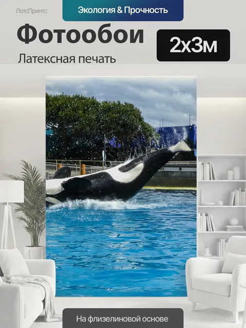 200 × 300 см · Латексная печать