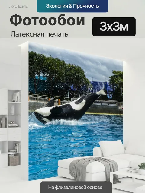 300 × 300 см · Латексная печать