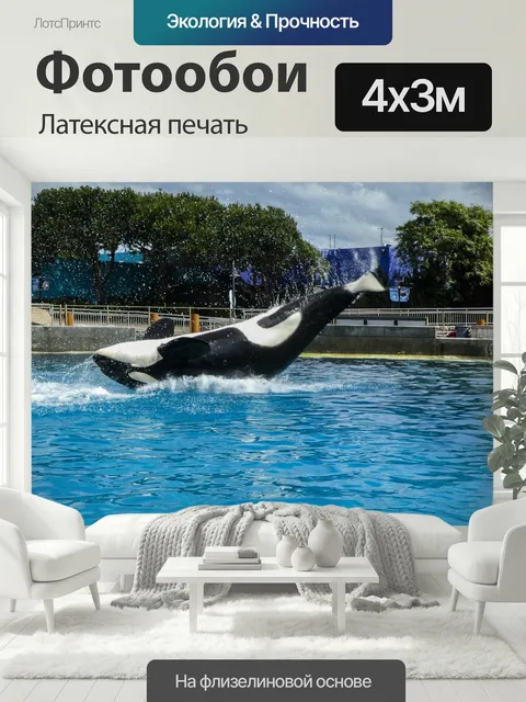 400 × 300 см · Латексная печать