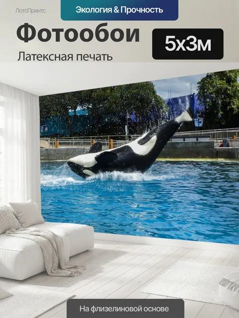 500 × 300 см · Латексная печать